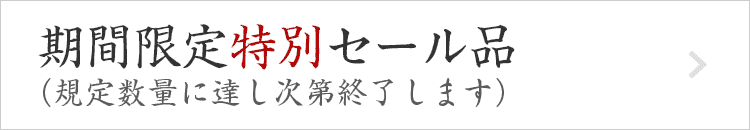 期間限定特別セール品